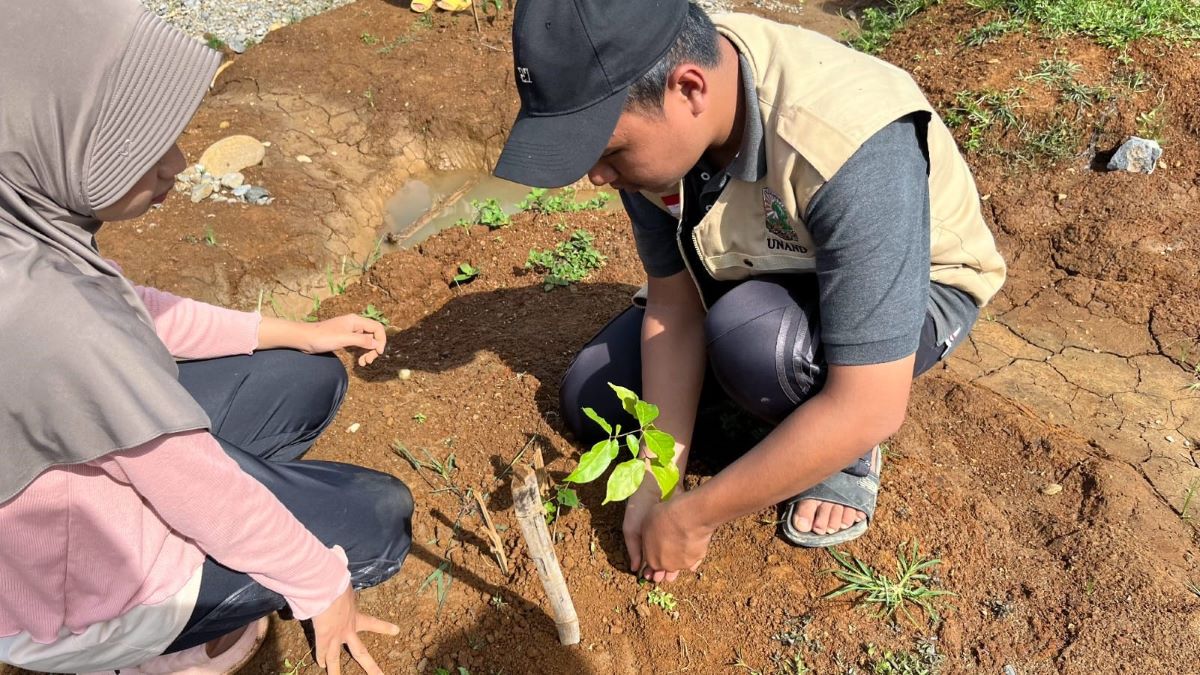 Penanaman Bibit Pohon di Nagari Salareh Aia